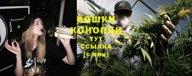 Каннабис OG Kush  Волчанск 